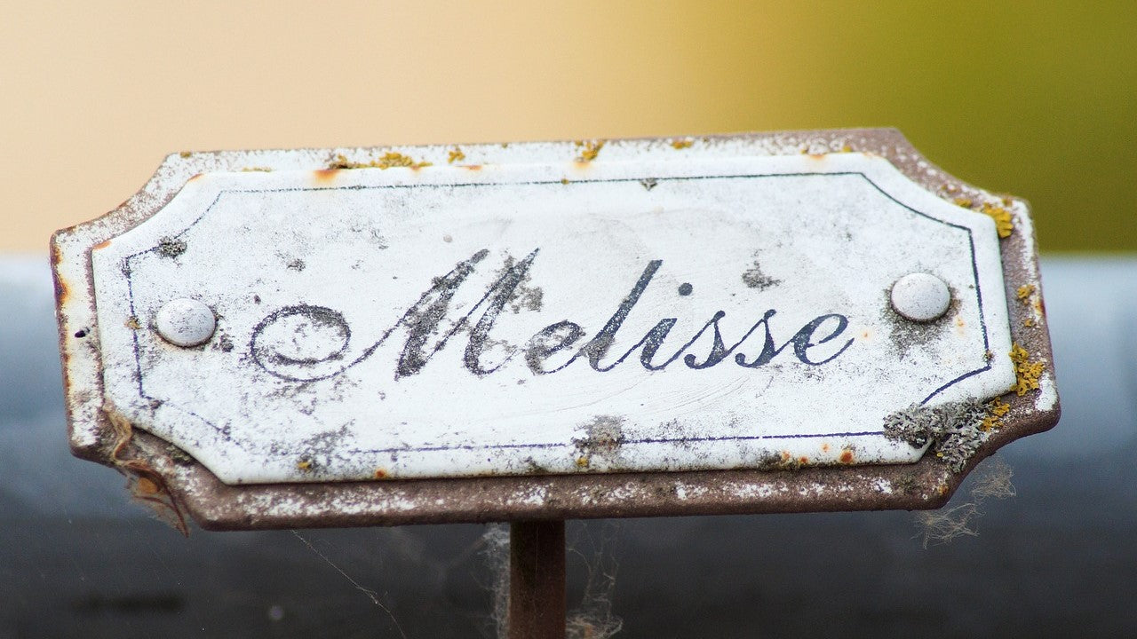 Rusted metal plant label engraved with the word Melisse