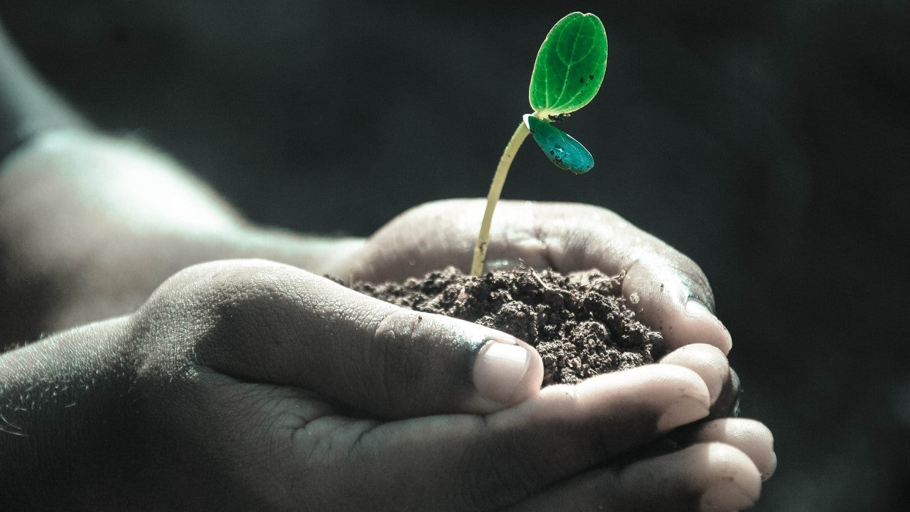 Soil Health
