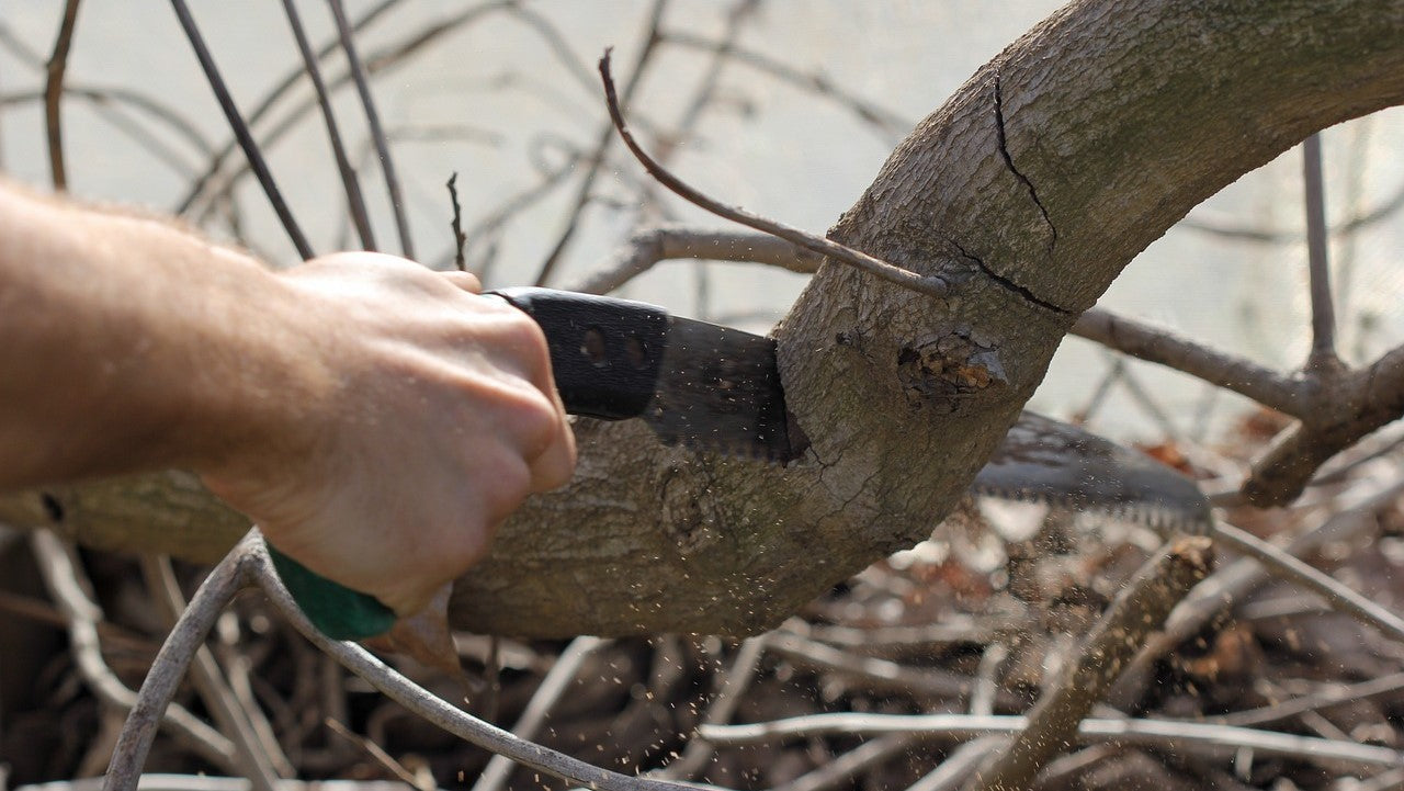 Pruning Saws