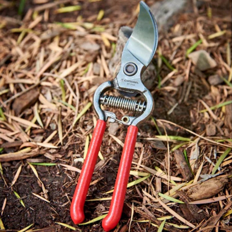 Corona - BP3160 - Classic Cut Forged Steel Pruner