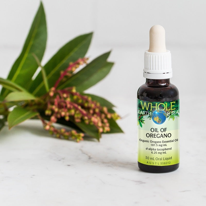 Essential Oil - Oregano - 30ml