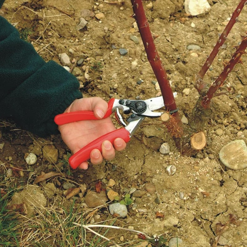 Felco 10 - Ergonomic Bypass Pruner with Revolving Handle - Left Hand
