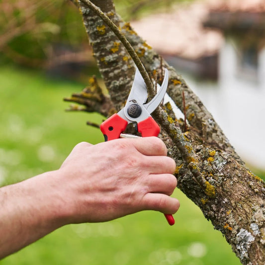 Felco 171L - Large One-Hand Pruning Shear