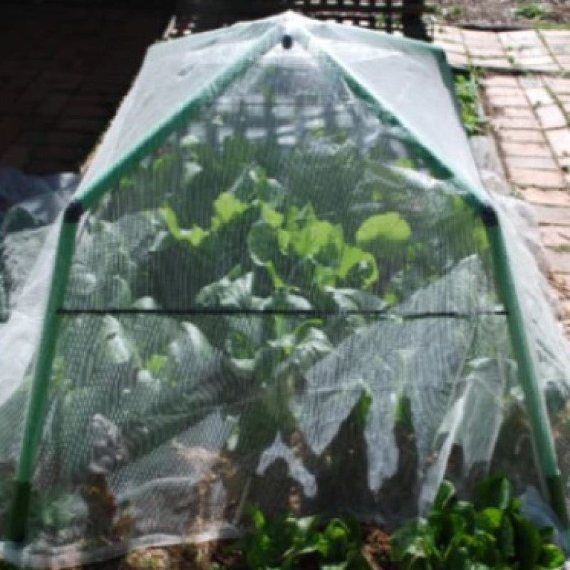 Chunky Garden Frame