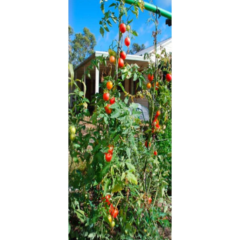 Supreme Garden Frame