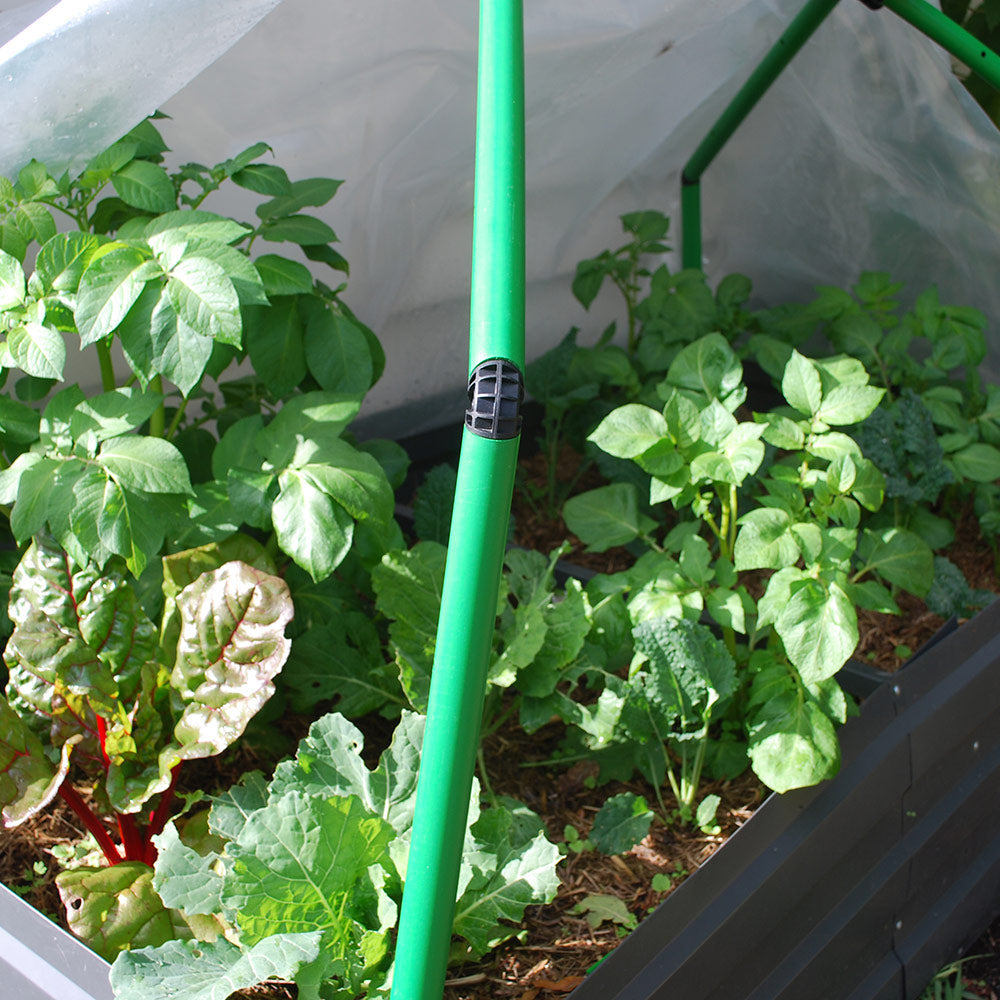 Greenhouse Frame