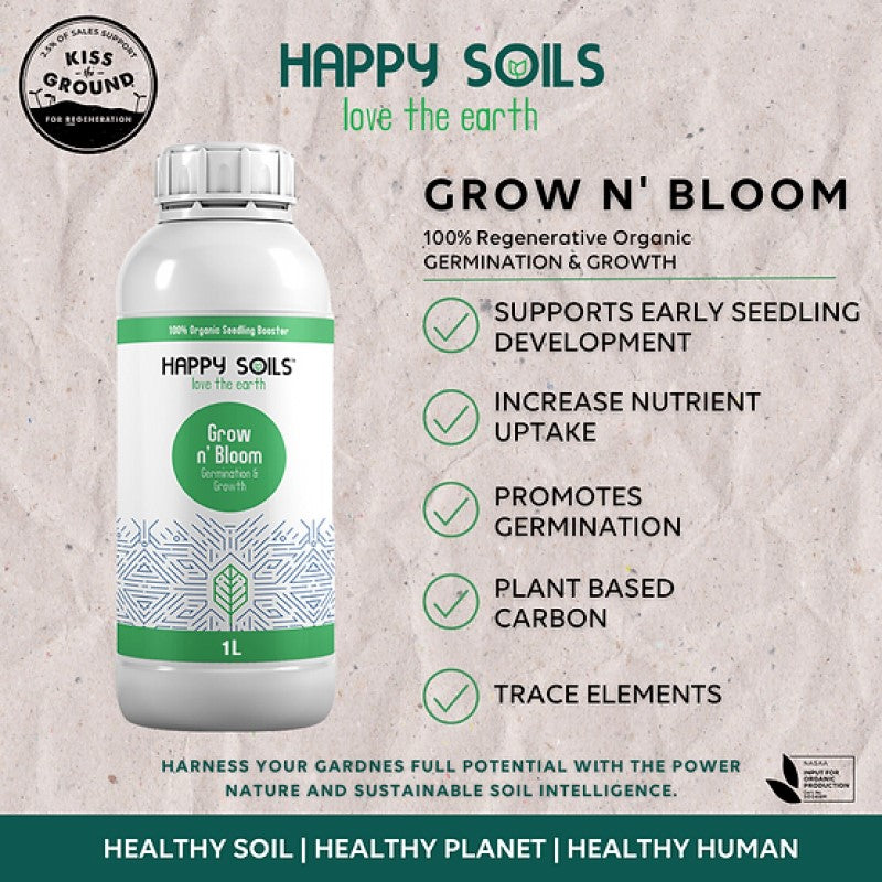 Grow n’ Bloom: Germination and Growth