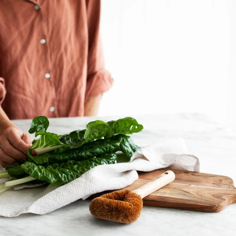 Dish Scrubber - Beech Wood Handle & Coconut Bristles