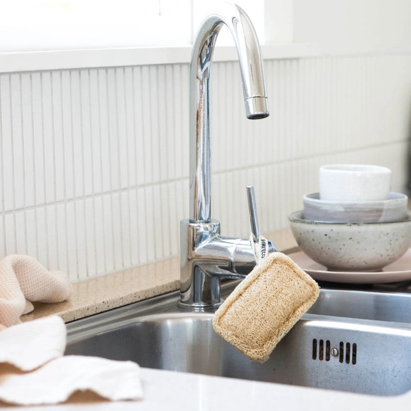 Loofah Dish Sponges - Pack of 2