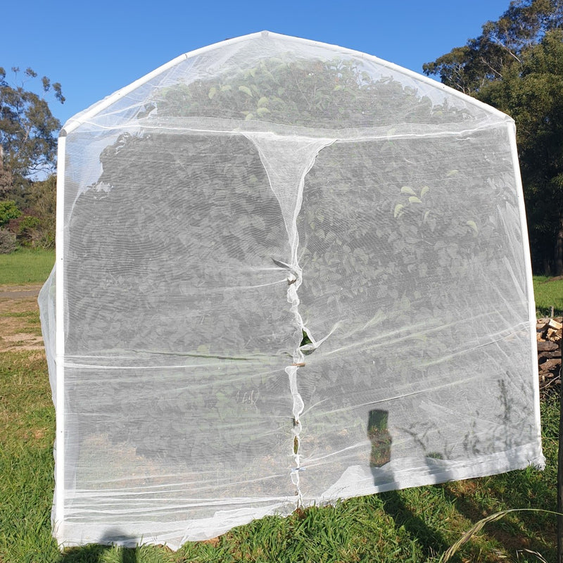 Tree Frame for Formed Insect Exclusion Net - 2.4m sq x 2.8m