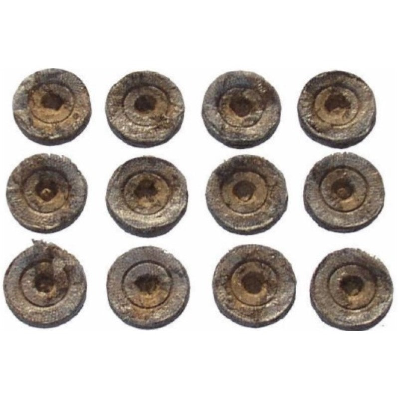 Biodegradable Coir Seed Starters