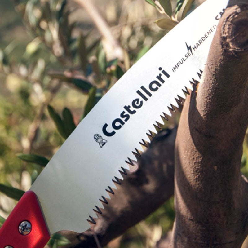 Pruning Saw - Curved Pruning Saw + Sheath