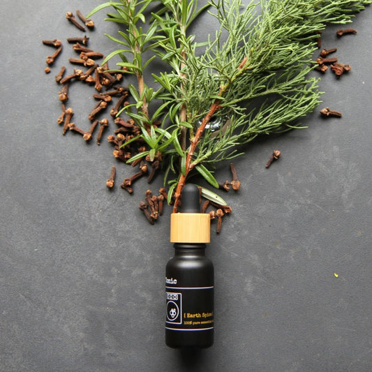 Laundry Tonic - Earth Spice - 20ml