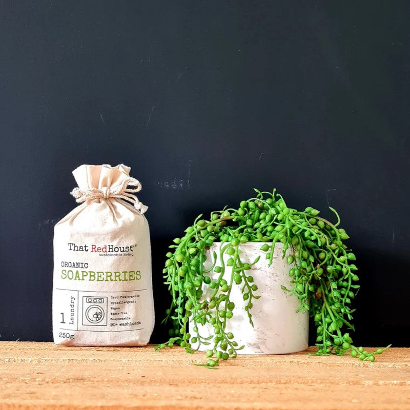 Organic Soapberries - 90+ Washloads - 250g