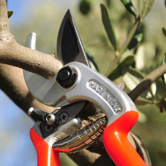 Secateurs - Ergonomic Curved Anvil Pruner