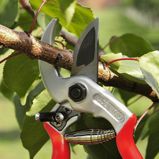 Secateurs - Universal Curved Anvil Pruner