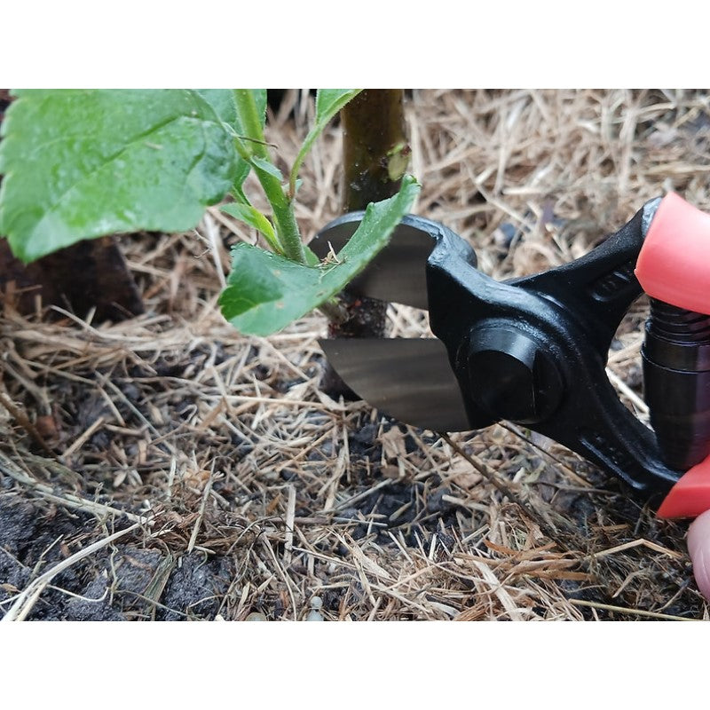 Secateurs - Double Blades Secateurs 3/A