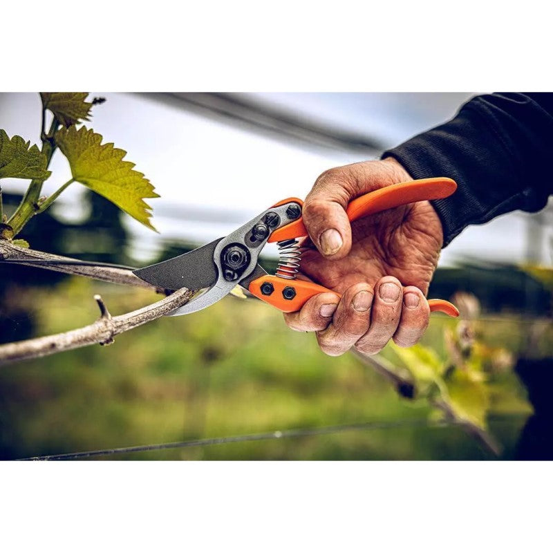 Secateurs - Precision Clean Cut Bypass Pruner - Large - 11.104