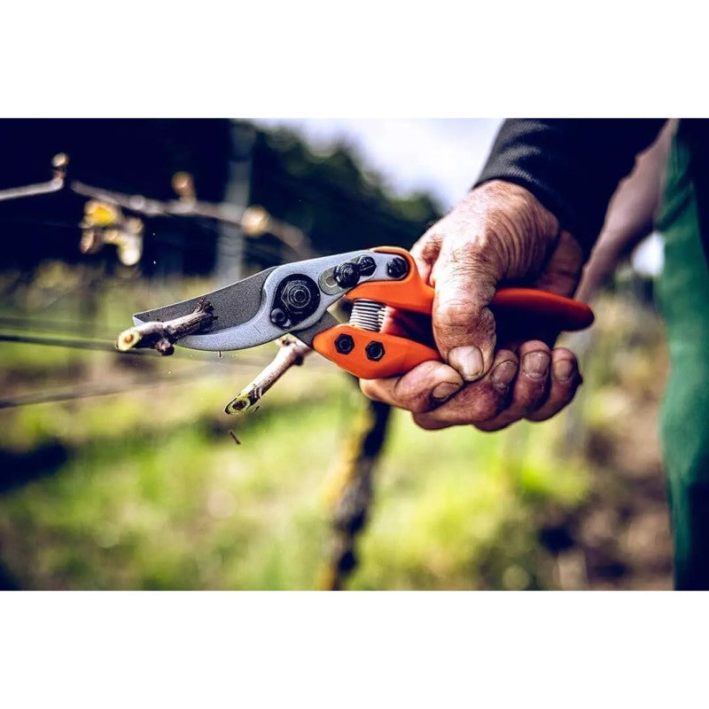 Secateurs - Precision Clean Cut Bypass Pruner - Large - 11.104