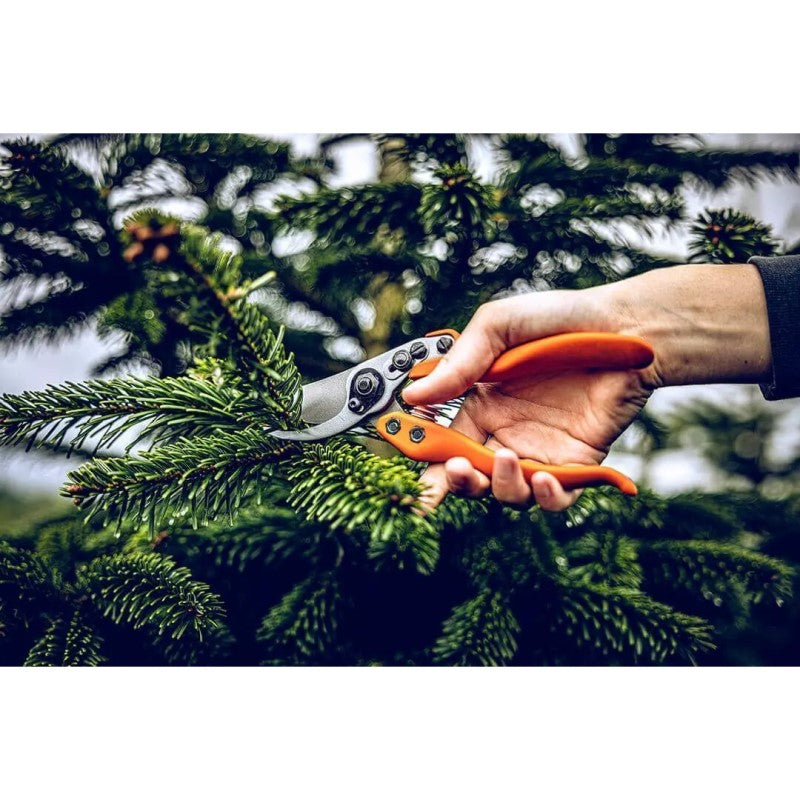Secateurs - Precision Clean Cut Bypass Pruner - Large - 11.104