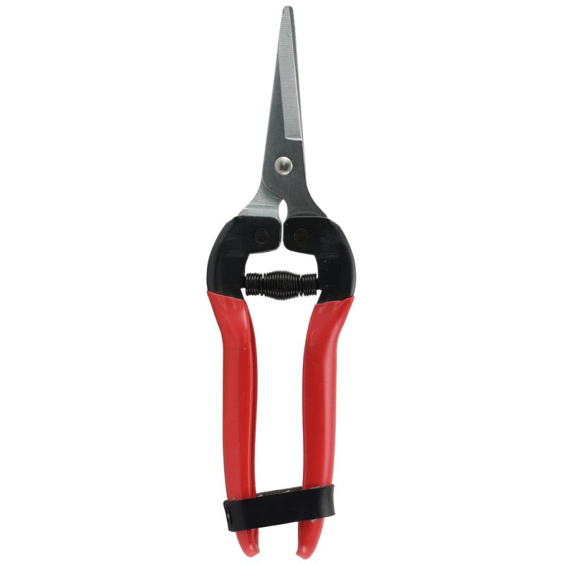 Secateurs - Fruit & Flower Shears - Fruit Picking Shear