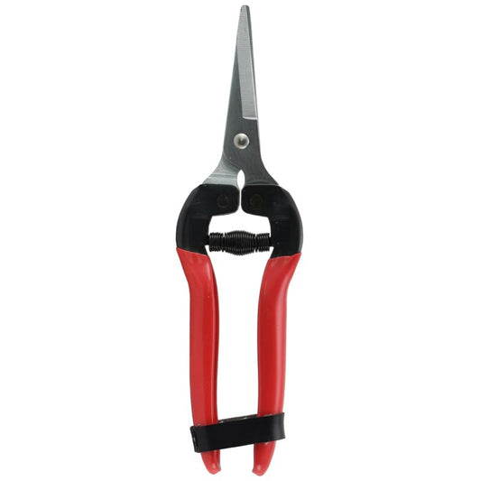 Secateurs - Fruit & Flower Shears - Fruit Picking Shear
