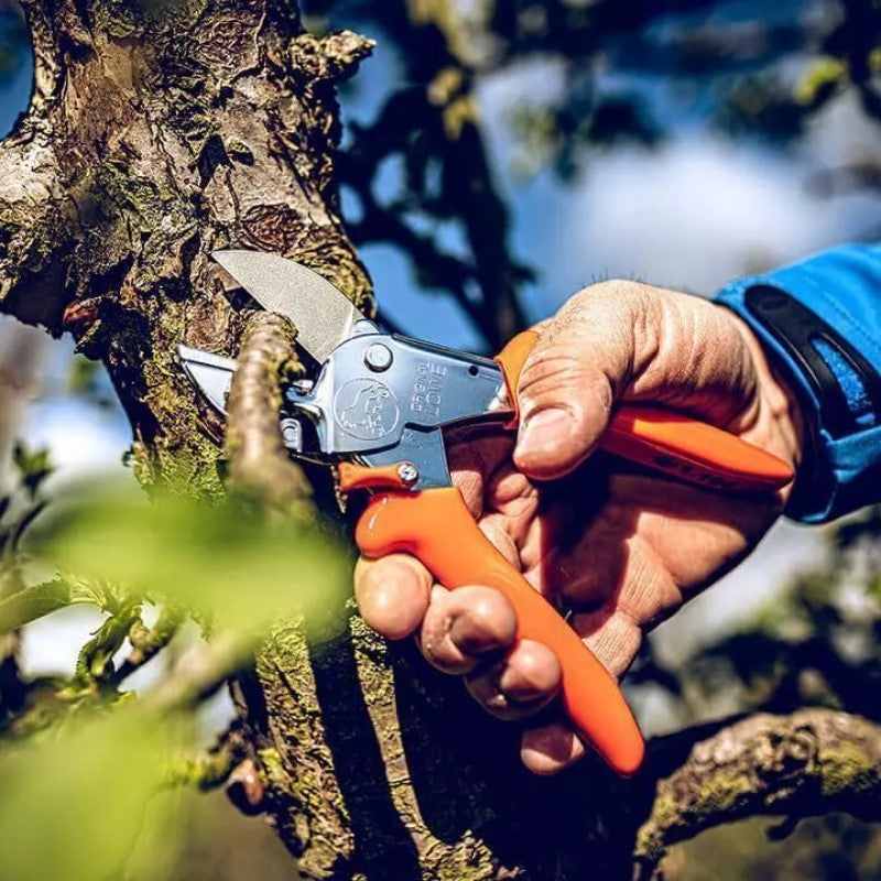Secateurs - Heavy Duty Anvil Pruner - Large - 1.104