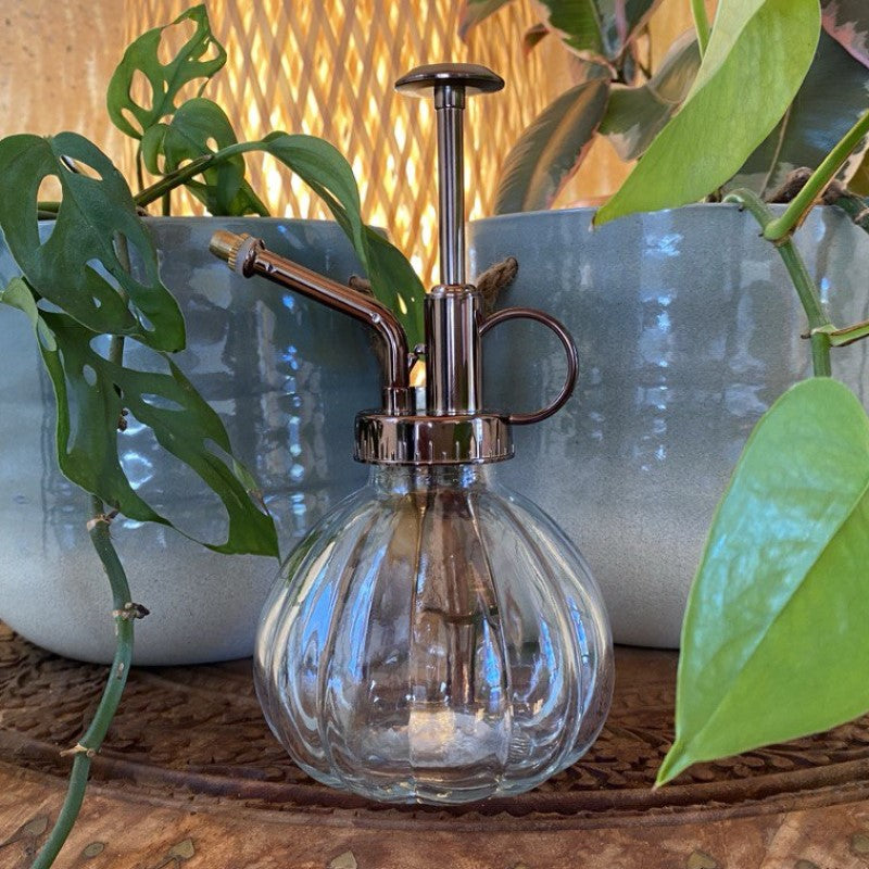 Retro Glass Plant Mister - Clear