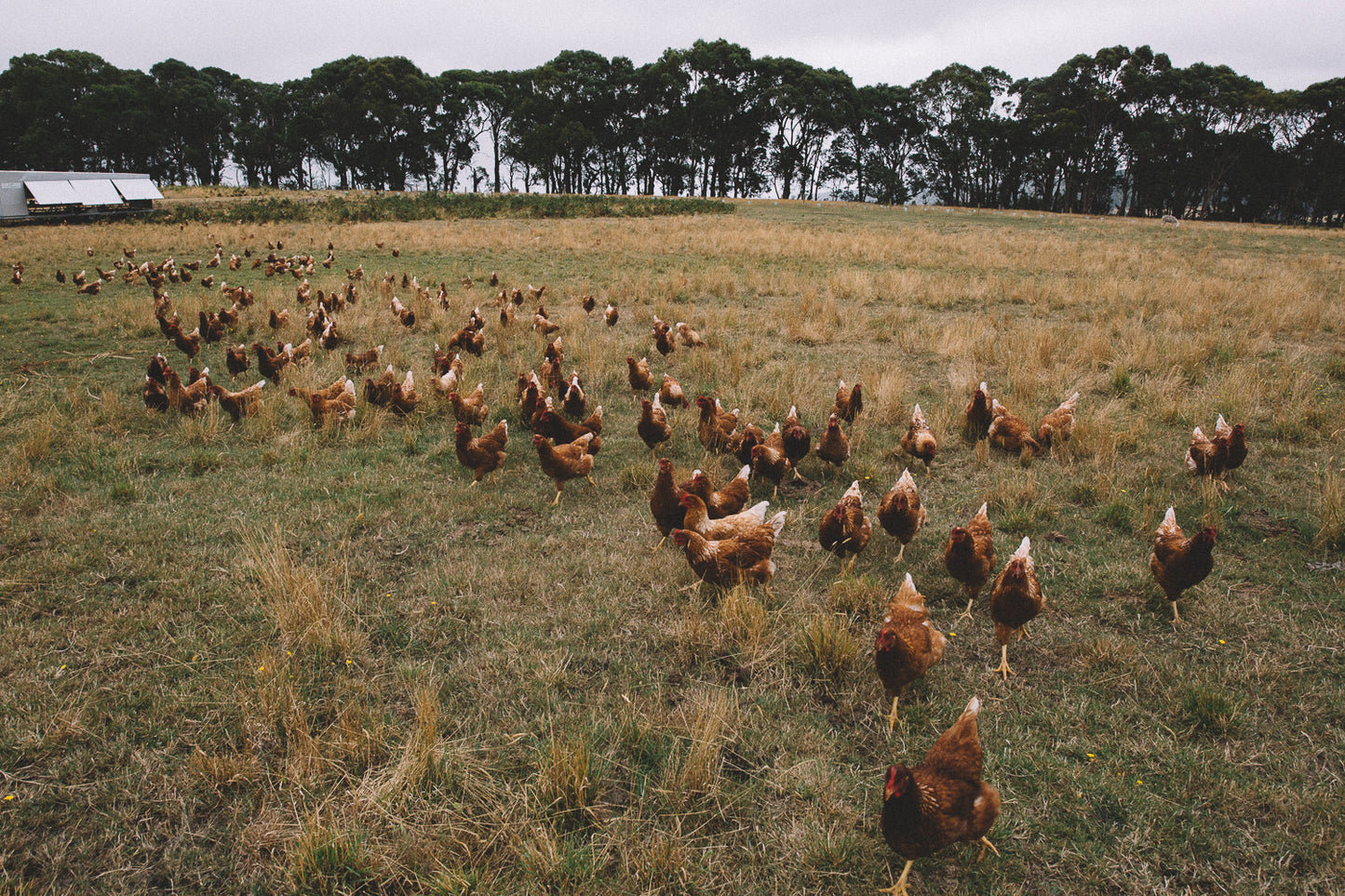 Workshop weekend - Soil, pasture & rocket stove - 26-28th of May 2017