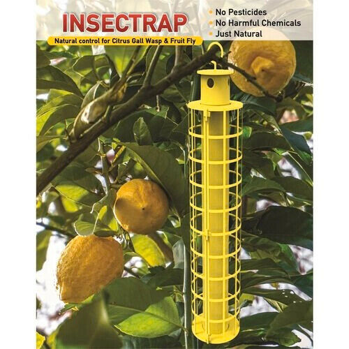 Insectrap with reusable cage