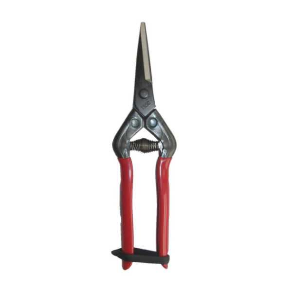 A pair of Chikamasa brand fruit and flower shears with red handles and a black high carbon steel blade.