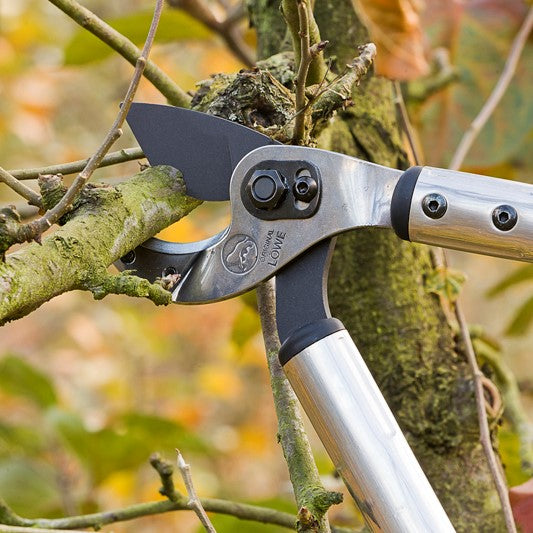 Loppers - Curved Anvil 22.080 - 80cm