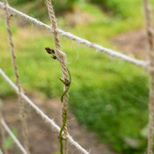Biodegradable Jute Support Net - 1.8m x 2.7m