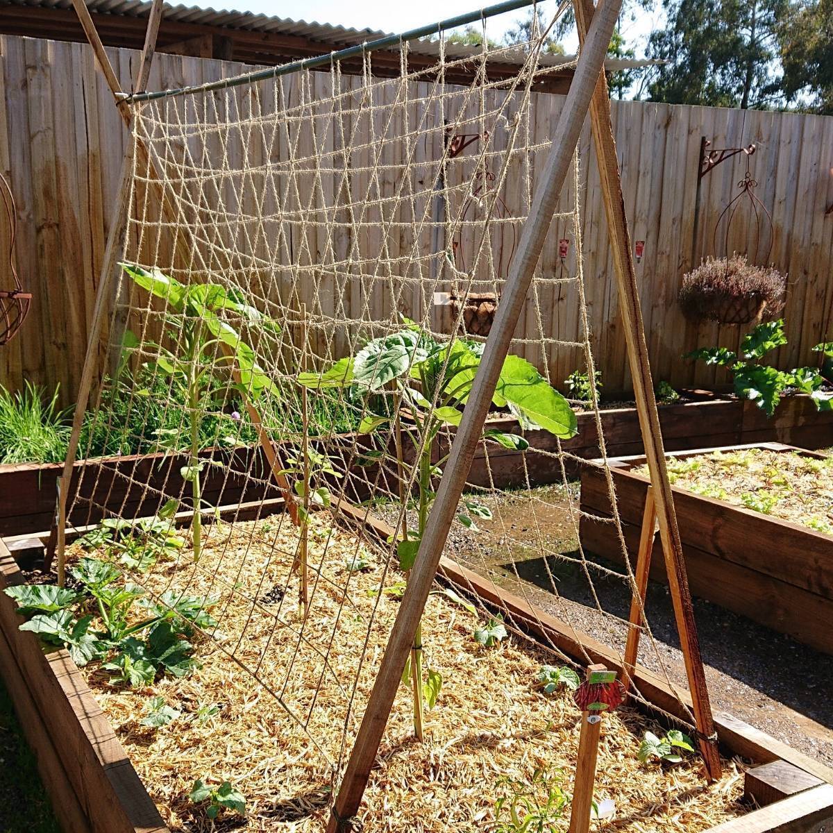 Biodegradable Jute Support Net - 1.8m x 2.7m