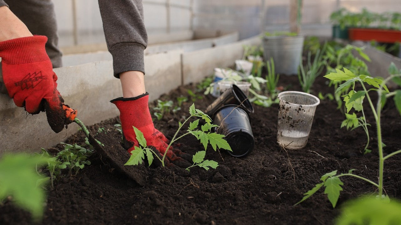 Cultivating
