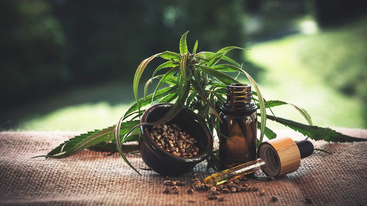 Hemp