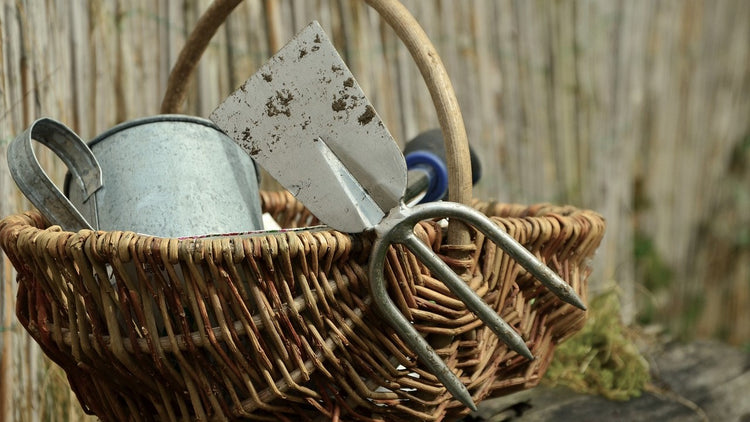 Cultivating Tools