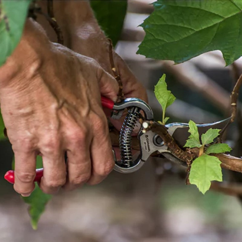 Corona - BP3160 - Classic Cut Forged Steel Pruner