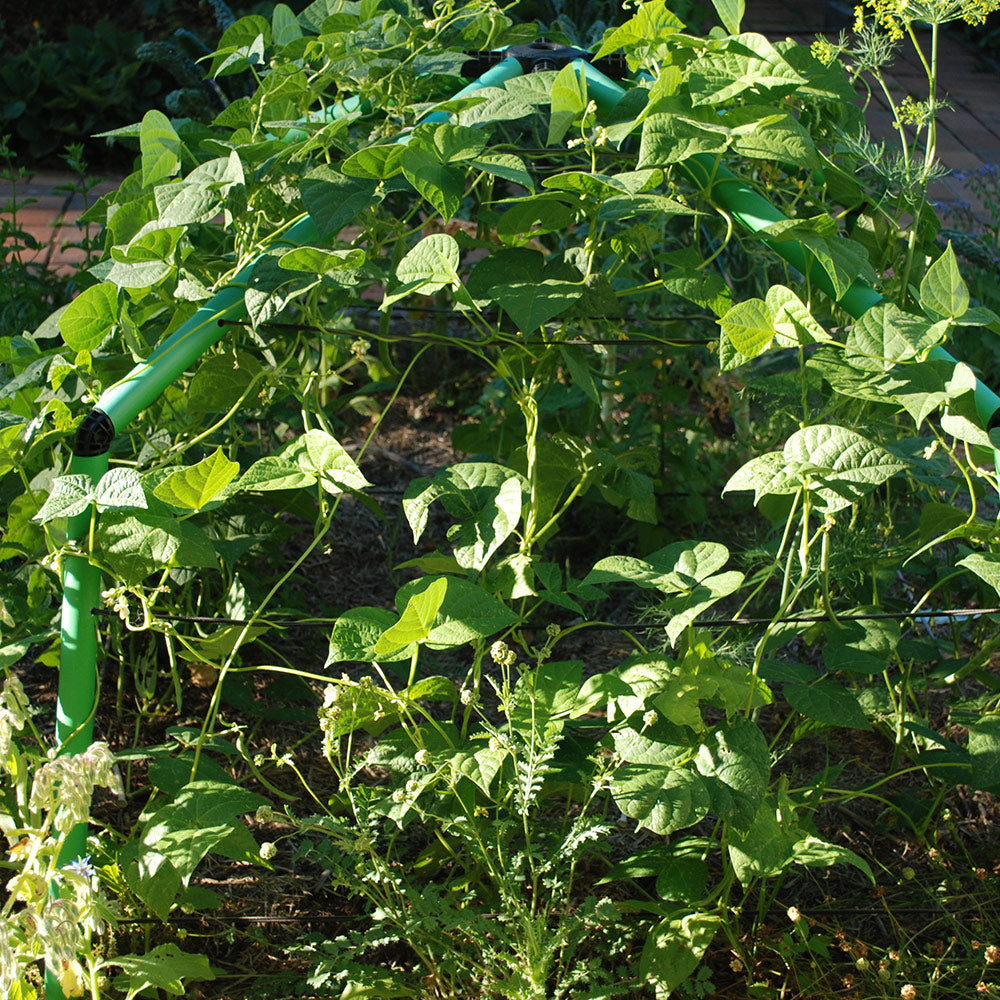 Chunky Garden Frame