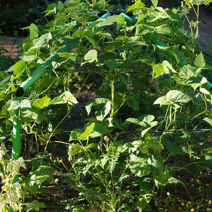 Chunky Garden Frame