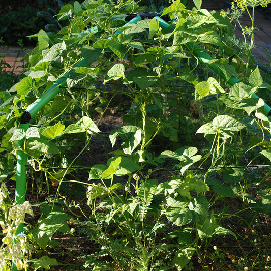 Chunky Garden Frame