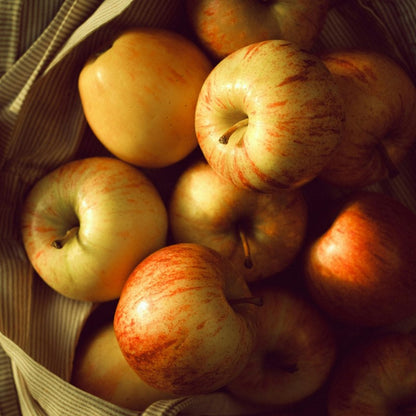 Raw Organic Apple Cider Vinegar with the Mother