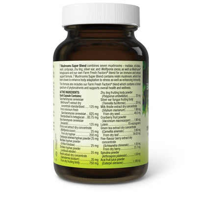 7 Mushrooms Super Blend