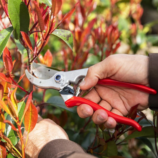 Felco 4 - Bypass Pruner - Basic Standard