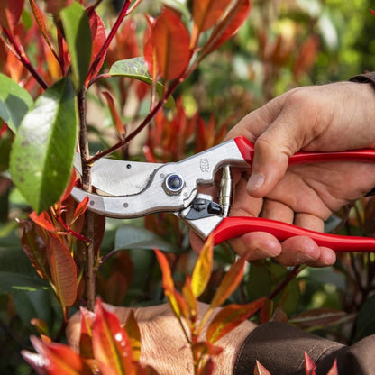 Felco 4 - Bypass Pruner - Basic Standard