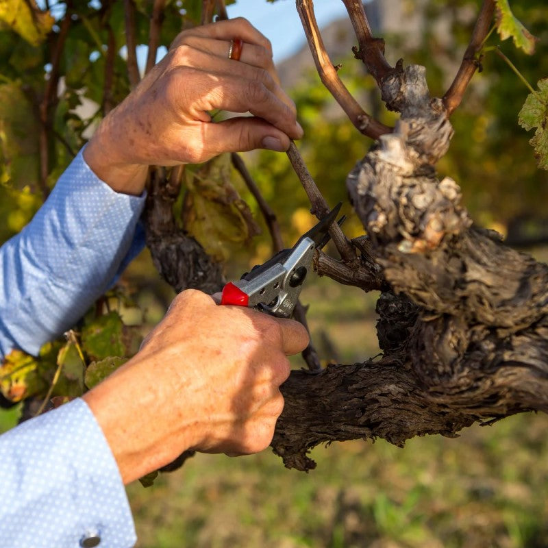 Felco 6 - Bypass Pruner - Ergonomic Compact