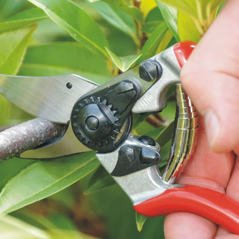 Felco 6 - Bypass Pruner - Ergonomic Compact