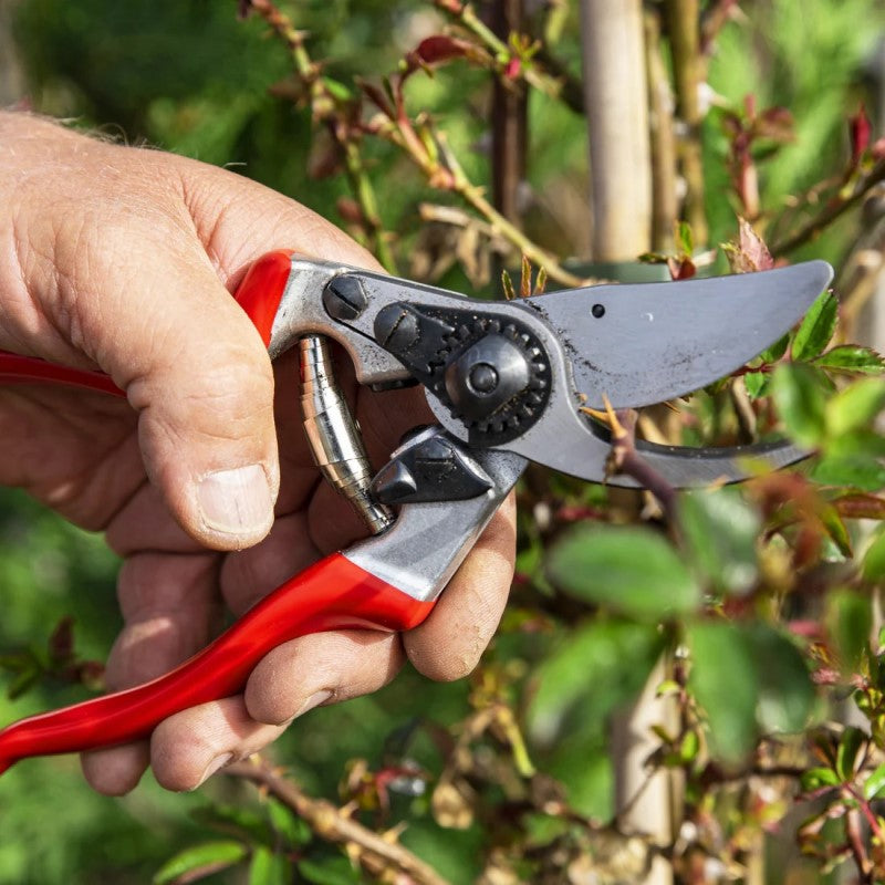 Felco 9 - Bypass Pruner - Ergonomic - Left-Hand