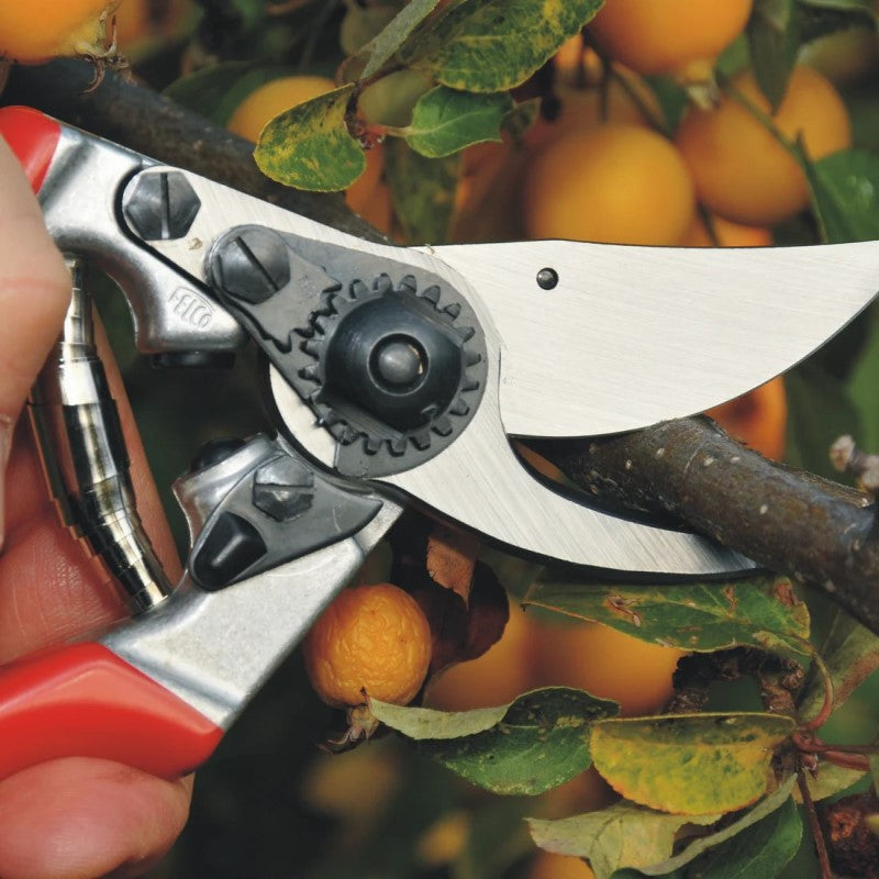 Felco 9 - Bypass Pruner - Ergonomic - Left-Hand