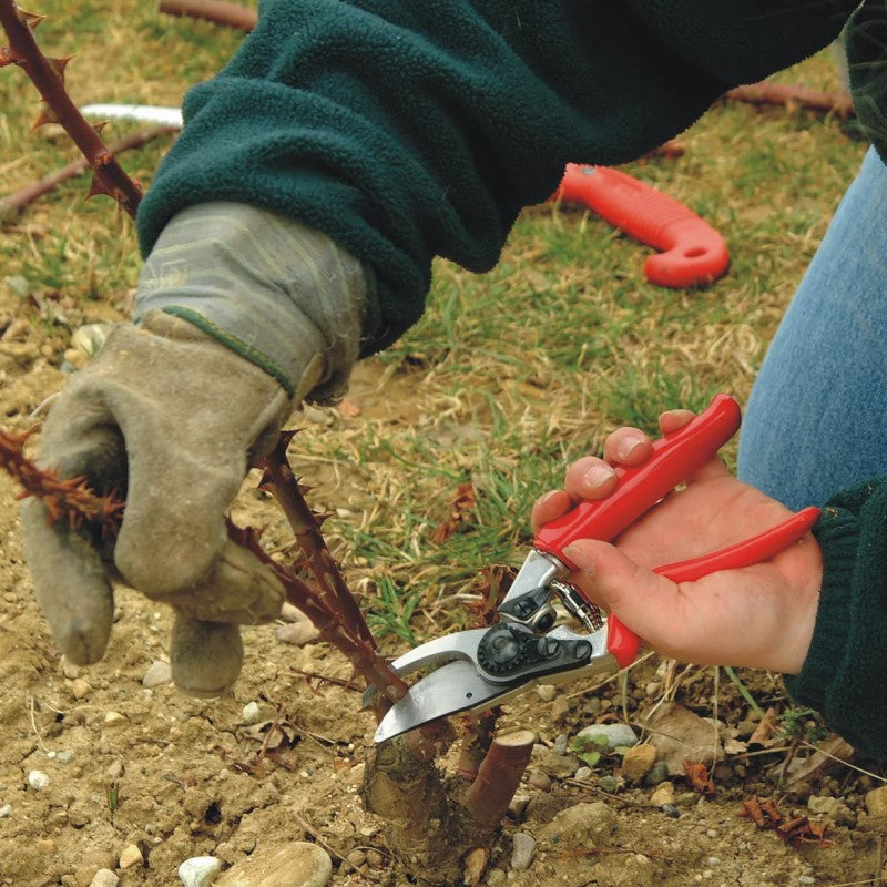 Felco 10 - Ergonomic Bypass Pruner with Revolving Handle - Left Hand